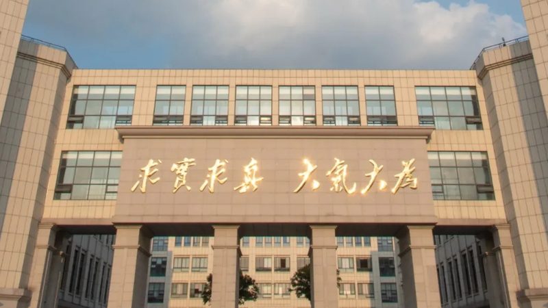 电子设计入门：作品制作流程全解析