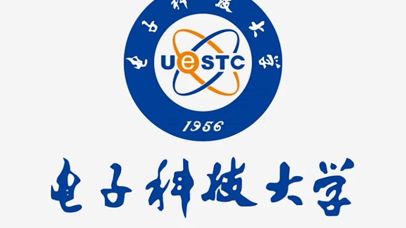 电子科技公司定制开发的利与弊：深入解析